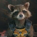 rocket-raccoon